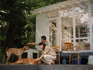 BELSを活用した省エネ住宅の成功法則！効果的な基準適合と通知書取得ガイド